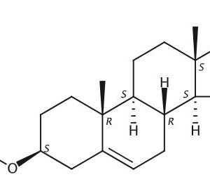 Dehydroepiandrosterone Acetate