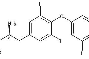 Levothyroxine N-Methylamide