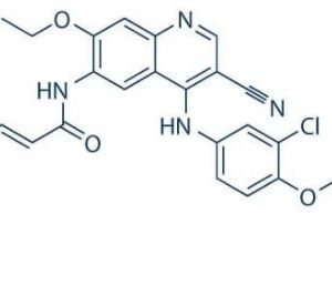 Neratinib WS