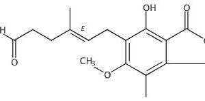 Mycophenolate Mofetil EP Impurity F