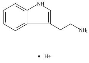 Protonated Tryptamine