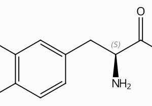 3-Methoxy-L-Tyrosine