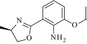 Eribulin Related Ligand 18