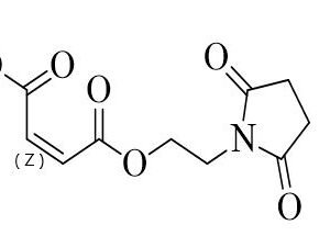 Diroximel Fumarate Impurity E