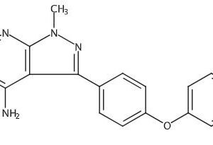 Ibrutinib Impurity(P Code:1568)