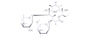 Clarithromycin Impurity P