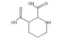 2,3-Piperidinedicarboxylic acid