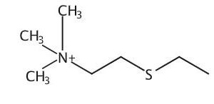 2-(Ethylthio)-N,N,N-trimethylethanaminium
