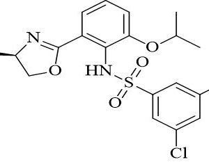 Eribulin Related Ligand 21