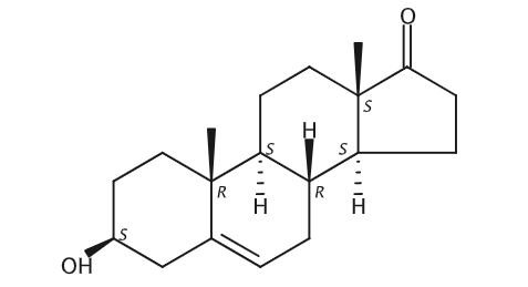 Prasterone