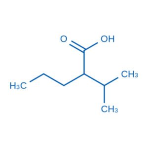 Valproic Acid Related Compound B