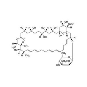Amphotericin B-EP imp-A