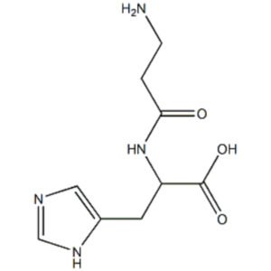 Papain Working standard (Qualified against USP)