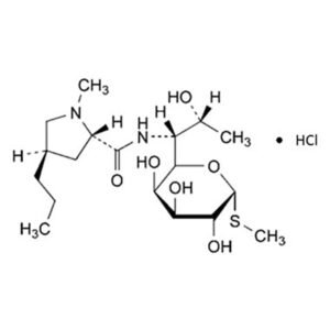 Lincomycin HCl